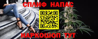 индика Татарск